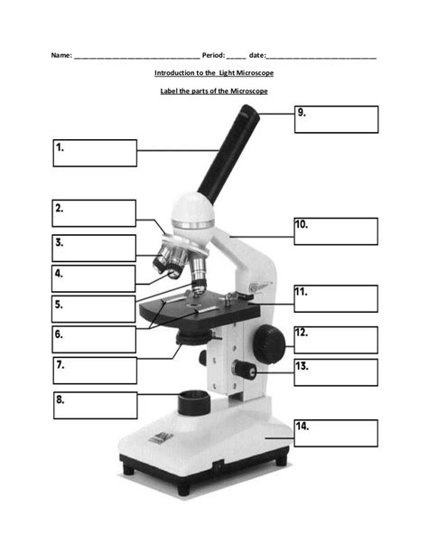 Microscope Parts Diagram Quizlet