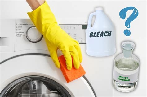 Vinegar Or Bleach The Ultimate Cleaning Showdown