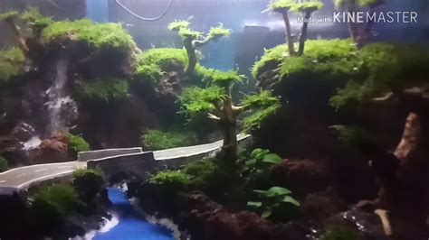 Aquascape Tema Air Terjun Pasir Youtube