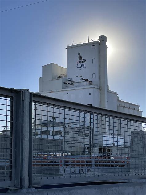 A strange beauty, a strange smell… : r/Denver