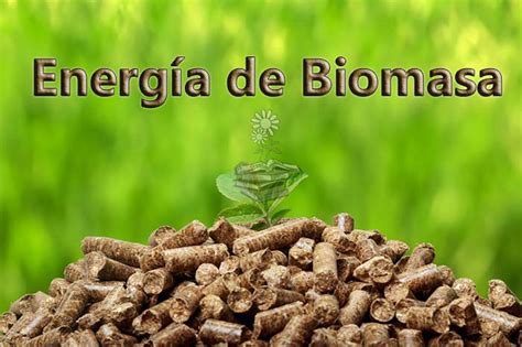 Bioenergía o energía de la biomasa una energía renovable pero no limpia