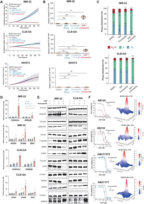 Rrm2 Enhances Mycn Driven Neuroblastoma Formation And Acts As A