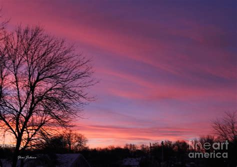 Pink Sky In The Morning Photograph By Yumi Johnson Fine Art America