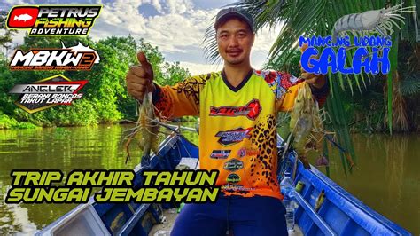 MANCING UDANG GALAH STRIKE BERTUBI TUBI SUNGAI JEMBAYAN KALTIM YouTube