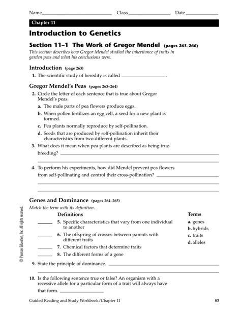 Introduction To Genetics Chapter Test A