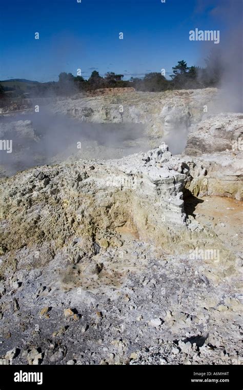 Hells Gate Maori Owned Geothermal Reserve Tikitere Rotorua North Island