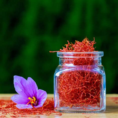 Traditionally Handpicked Kesar Saffron Strands