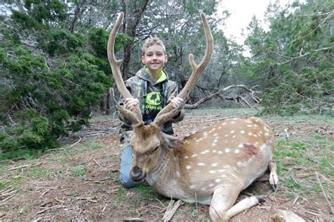 Axis Deer Hunts in the Texas Hill Country