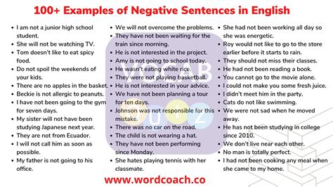 100 Examples Of Negative Sentences In English Vocab Quiz