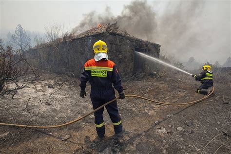 El 15 de la superficie arbolada quemada en España este año ardió en