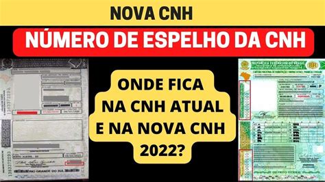 Qual é o número do Espelho da CNH vivendobauru br