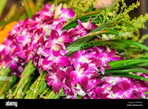 Fresh colourful flowers at market Stock Photo - Alamy