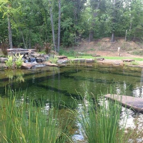 What You Need To Know About Texas Pond Filtration Aquascape Filtration