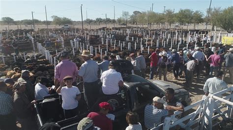 Remate De N Stor Hugo Fuentes S A En Gral Acha Una De Las Subastas