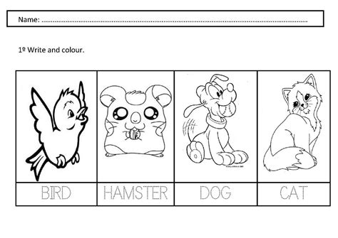 14 Pet Animals Worksheets For Kids / worksheeto.com