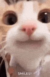 “happy Cat” Tenor