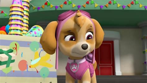 Skye Skye Paw Patrol Fan Art 42906979 Fanpop