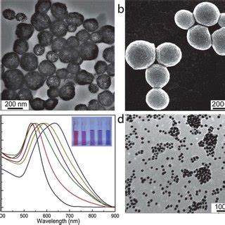 Transmission electron microscopy (TEM) (a) and scanning electron ... 