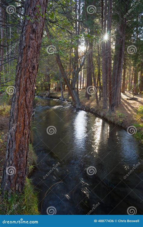 Fast Moving Stream Hat Creek Lassen National Forest Stock Photo Image