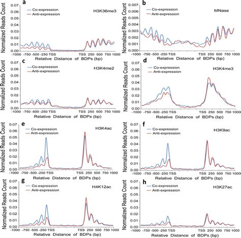 Profiling of histone marks and nucleosome occupancy between coexpressed ... 