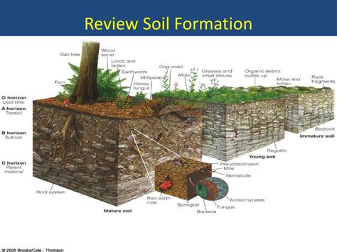 Soil Formation Chart