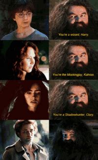 You're a Wizard, Harry!: Image Gallery (List View) (List View) | Know ...