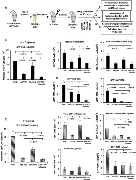 Combined Targeting Of BCL 2 And BCR ABL Tyrosine Kinase Eradicates