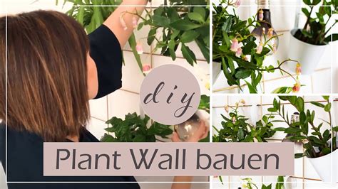 Diy Pflanzenwand Plant Wall Zum Selber Bauen Für Zuhause