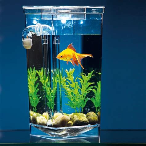 ᐉ Аквариум самоочищающийся My Fun Fish (005517) • Купить в Киеве ...