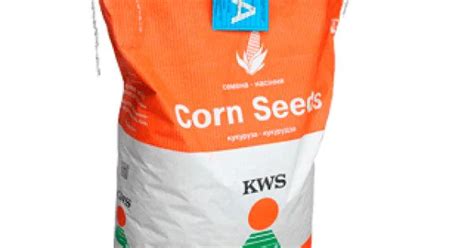 Кукурудза КВС АКУСТІКА КВС Ціна Оптом і в Роздріб