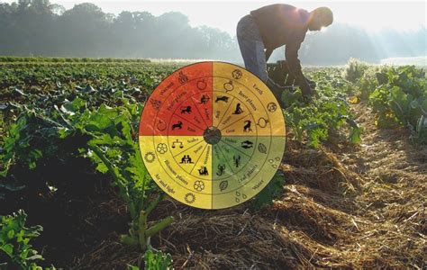 Calendario biodinámico AABDA El Brote Urbano