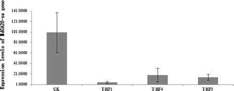 Modification Of Plant Height Via RNAi Suppression Of MdGA20 Ox Gene