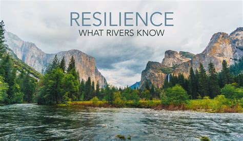 RESILIENCE Examples and Stories | What Rivers Know | Healing Forest