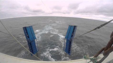 La patronal de la pesca carga contra Oceana por su campaña