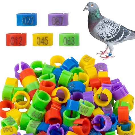 Buy Mewtogo Mm Pcs Bird Pigeons Leg Rings Colorful Readable