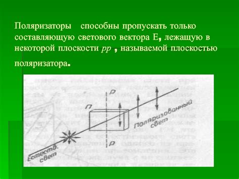 Поляризация света