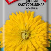 Красотка-цинния — Ботаничка