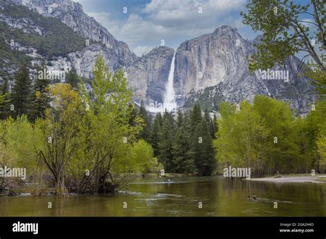 Yosemite Falls In Yosemite National Park California United States Of