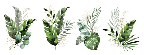 Watercolor Drawing Set Of Compositions Bouquets Of Tropical Leaves