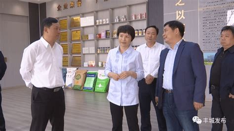 副省长卢小青在我市调研发展产业化农业