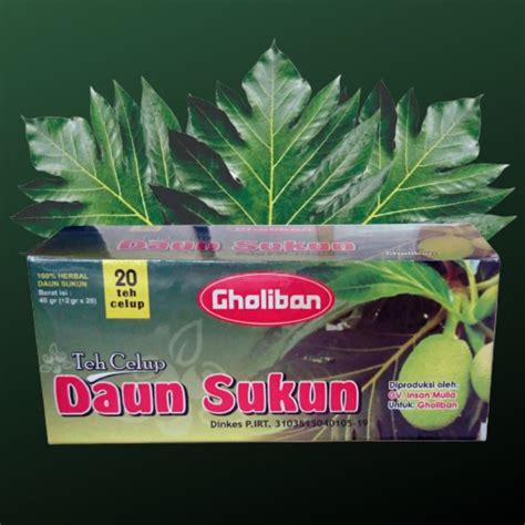 Jual Teh Daun Sukun Obat Herbal Tanpa Pewarna Dan Pengawet Bantu