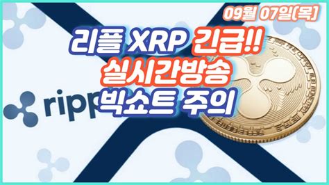 리플 Xrp 실시간 방송 상승 하락 주의 빅쇼트 주의 Youtube