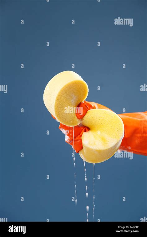 Squeezing Sponge Squeezing Wet Sponge Stock Photo Alamy