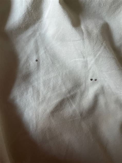 Hey Guys I`ve Found These Spots On My Pillow Cover Today Does Anyone