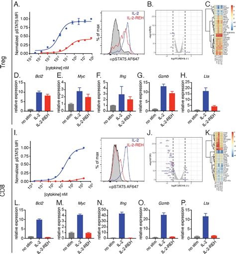 Calibration Of Cell Intrinsic Interleukin 2 Response Thresholds Guides