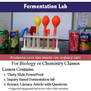 Yeast Alcohol Fermentation Lab Inquiry Based Cellular Respiration Lab