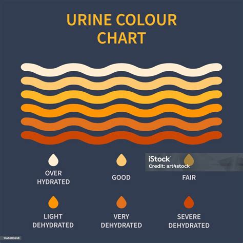 Urine Color Chart Illustration Of Dehydration Level Stock Illustration ...