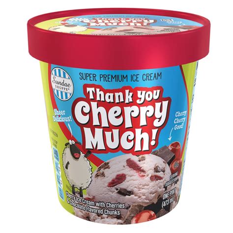 ALDI Belmont Thank You Cherry Much Premium Ice Cream Same-Day Delivery ...