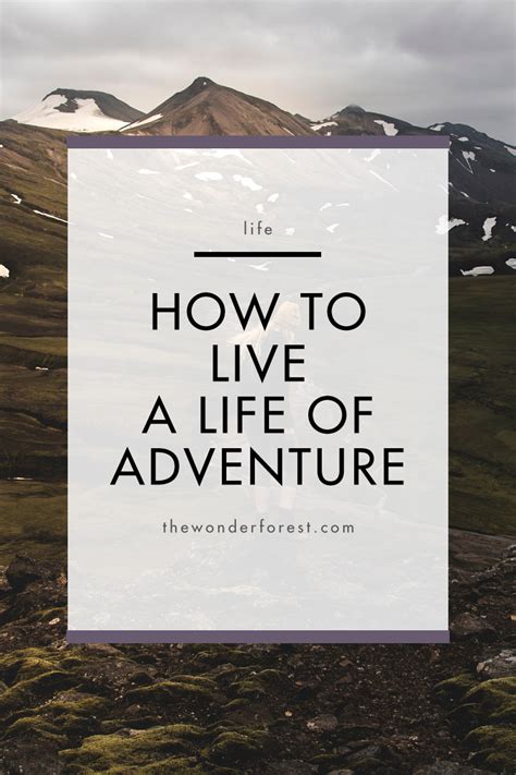 How To Live A Life Of Adventure Wonder Forest