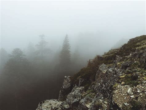 Fotos Gratis Bosque Desierto Monta A Nieve Niebla Ma Ana Colina